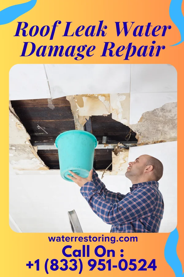Roof Leak Water Damage Repair in Hunnewell, KS